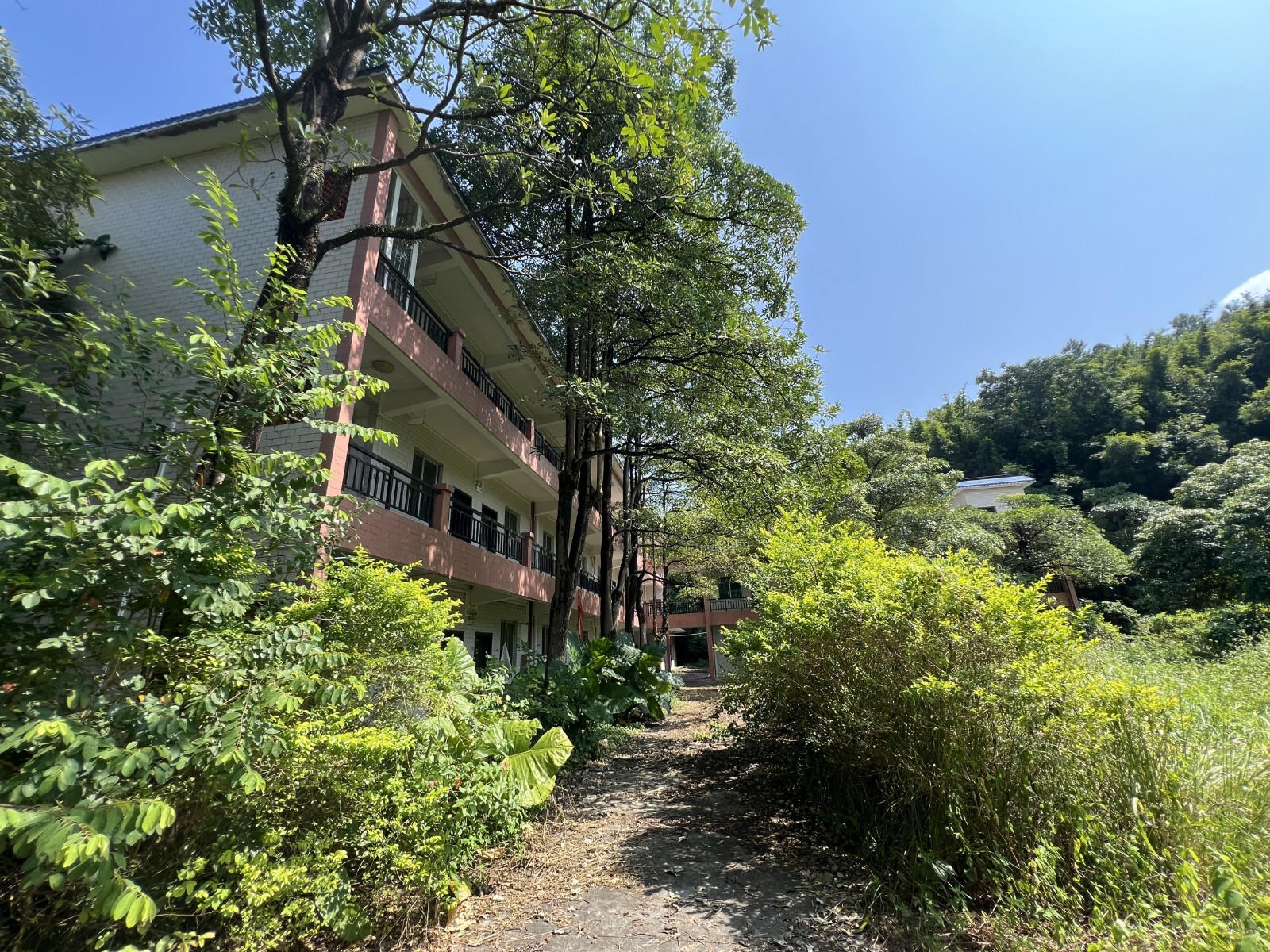 出租广州市从化区江埔街下罗村旧敬老院