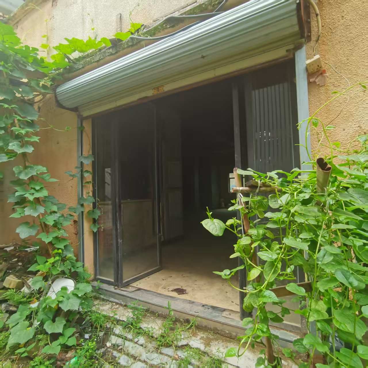 出租广州市增城区仙村镇灯头街12号首层