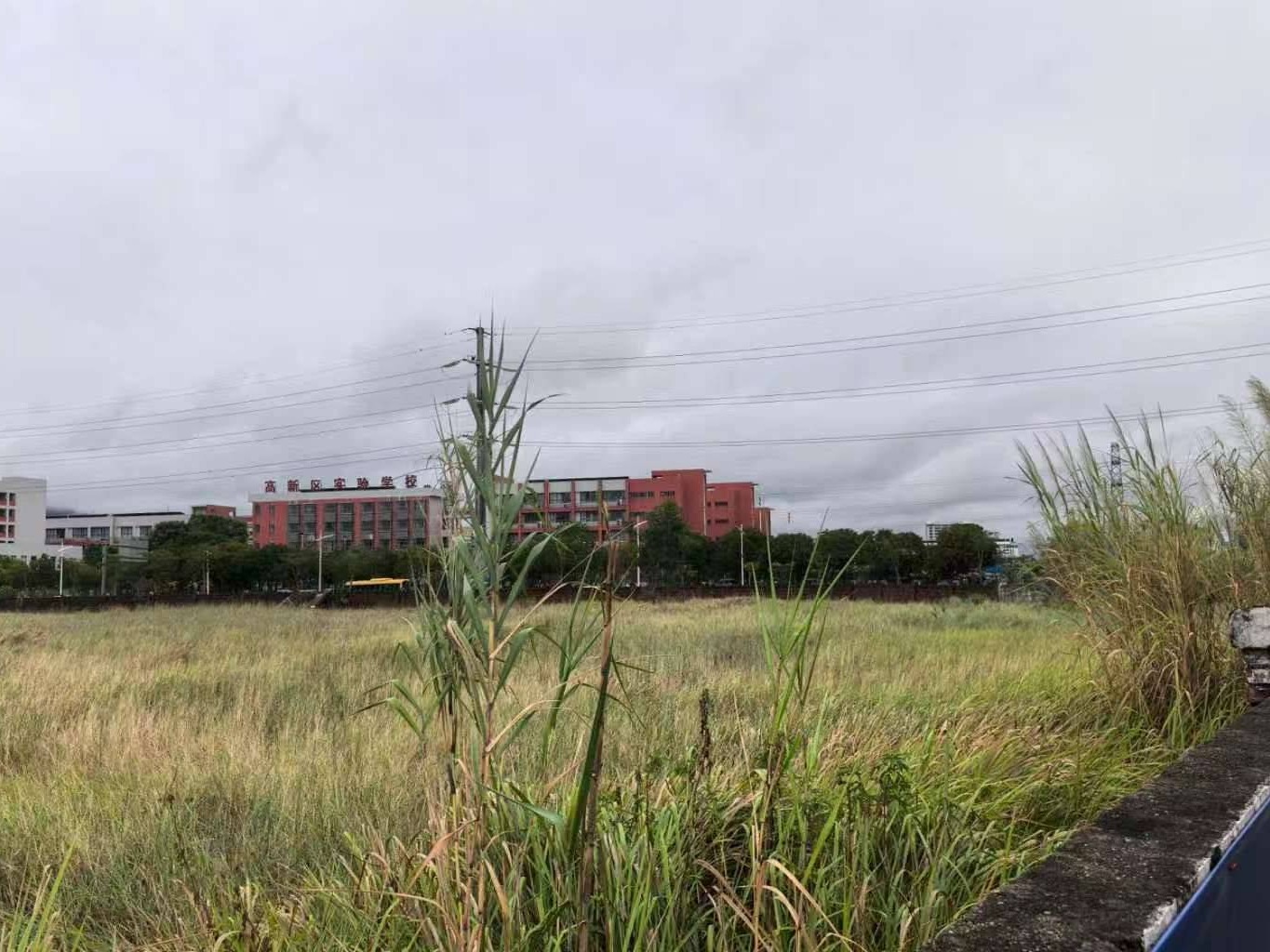 出租河源市高新区科技十二路北边坭金路东边