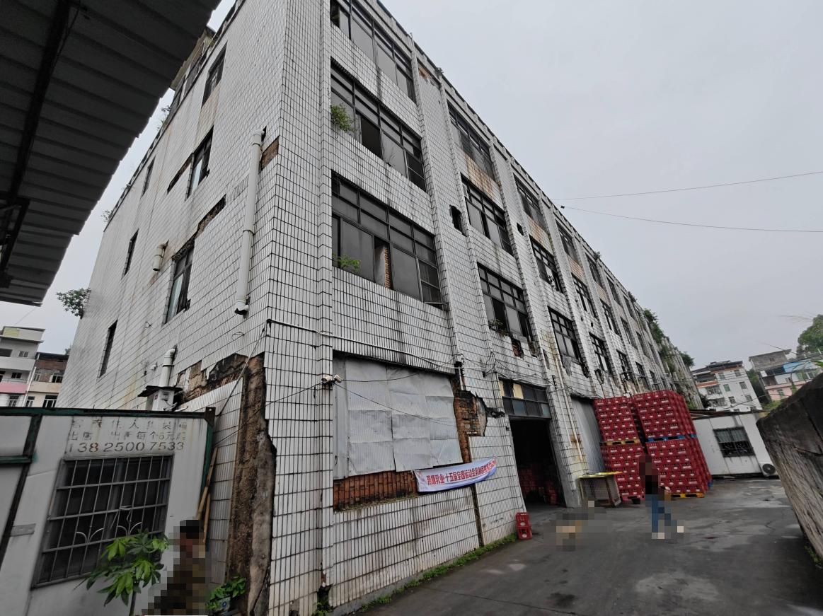 出租广州市增城区荔湖街罗岗开发区8号四层物业