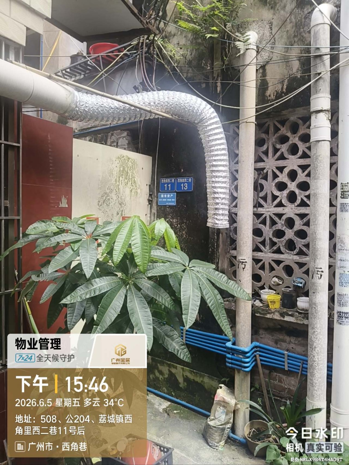 出租广州市增城区荔城街西角里西二巷11号后