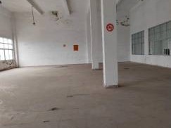 出租江门市新会区古井镇背坑村古会桥工业开发区交联车间第三层