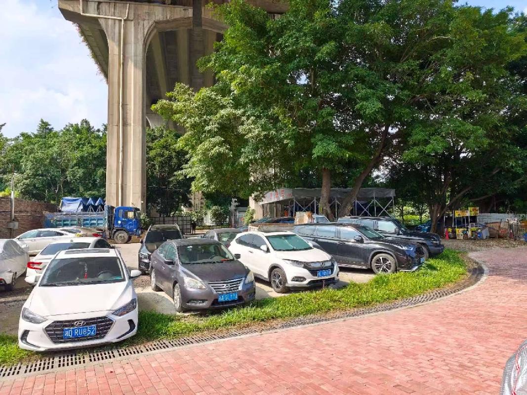出租广州市海珠区新光大桥北岸（南洲路以南至珠江边）部分桥下空间场地项目