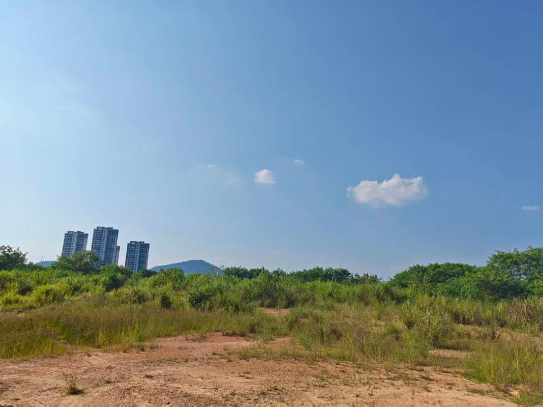 出租河源市源城区京九铁路东面、迎客大道南边、工业大道西面地块