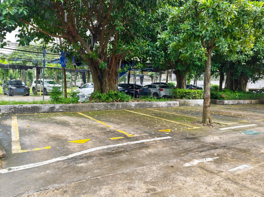 出租广东省茂名市高州市高凉中路槟榔岭电力二村部分土地（地上停车位）